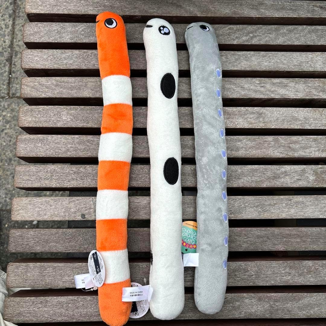 チンアナゴ セット すみだ水族館限定 すみだ水族館【公式】 on X