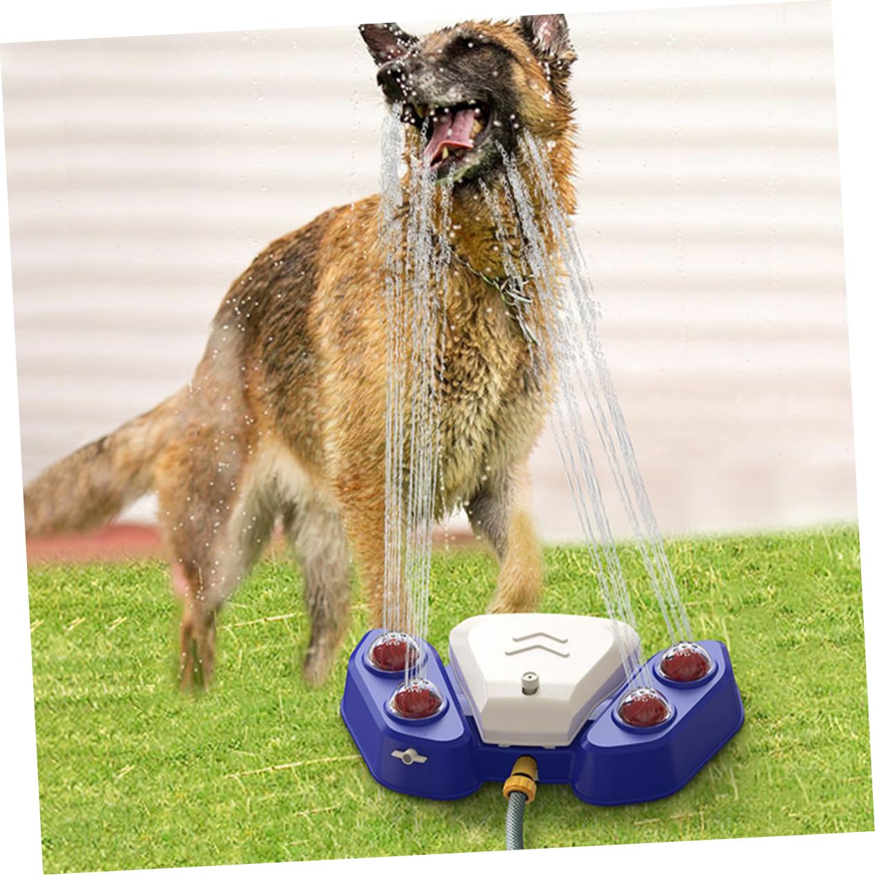 Multifunktionales Hundebadespielzeug mit Wassersprinkler aus Abs, Blau