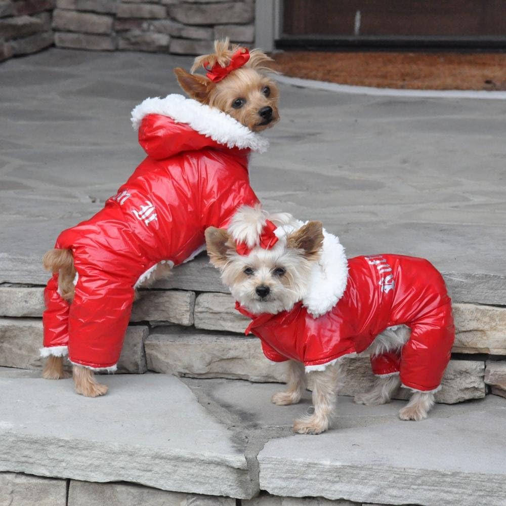 Chihuahua snowsuit with attached boots Clearance