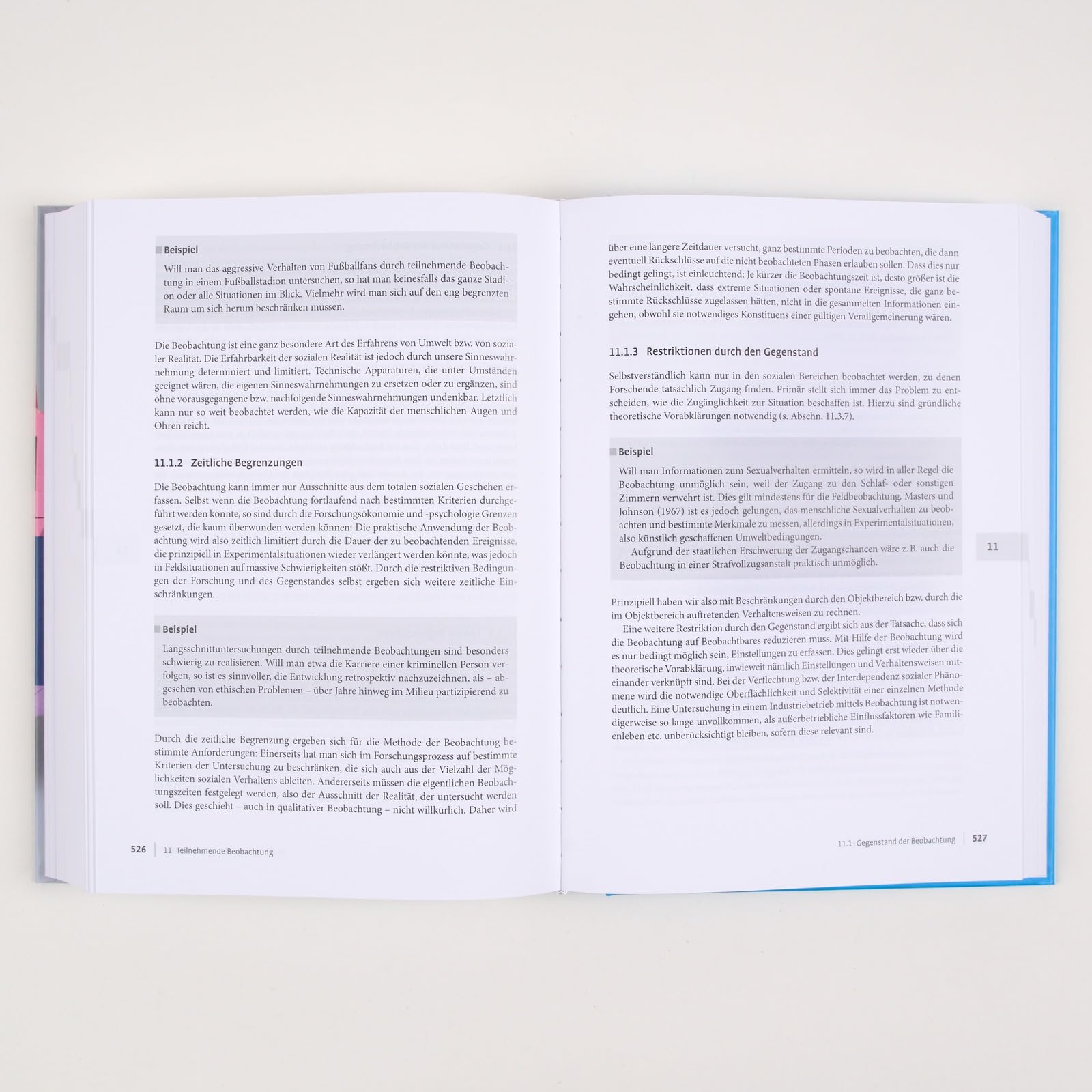 Qualitative Sozialforschung: Mit Online-Material