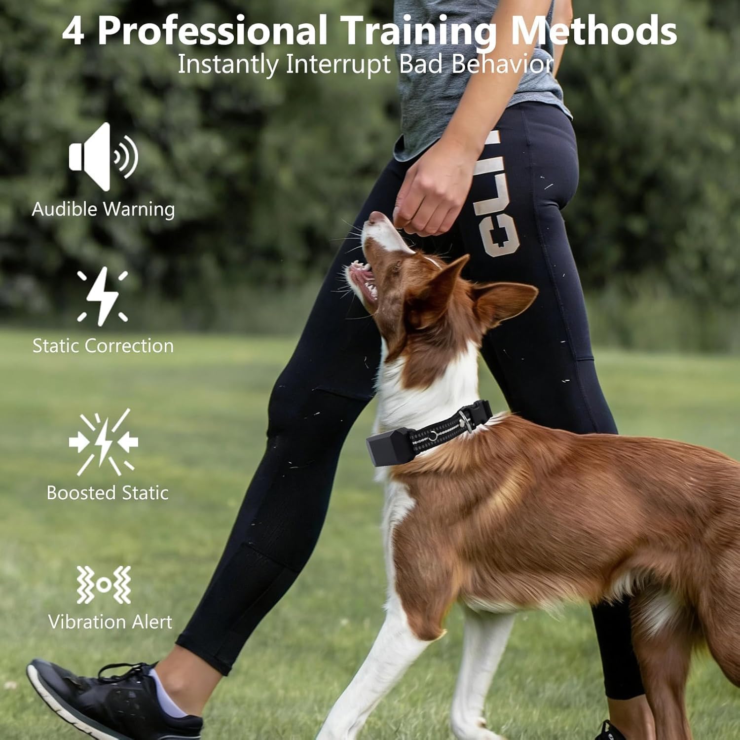 KIP Remote Dog Training Collar, IP67 Waterproof Shockproof E-Collar with 5 Training Modes, Rechargeable and Adjustable for Small, Medium and Large Dogs