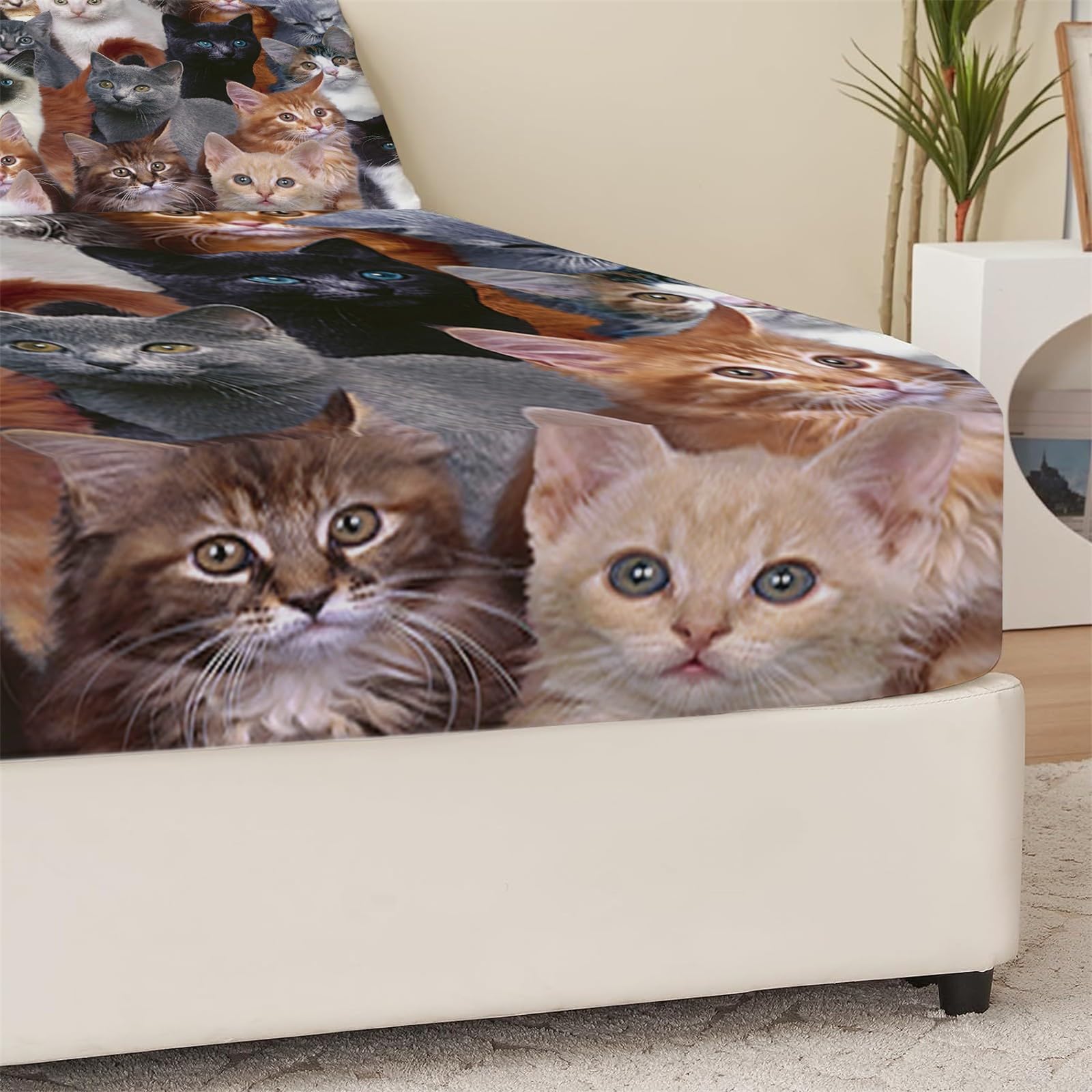 Drap Housse 160x200 Chat Mignon – Microfibre Douce – Poche Profonde 30 Cm – Avec 2 Taies D’oreiller