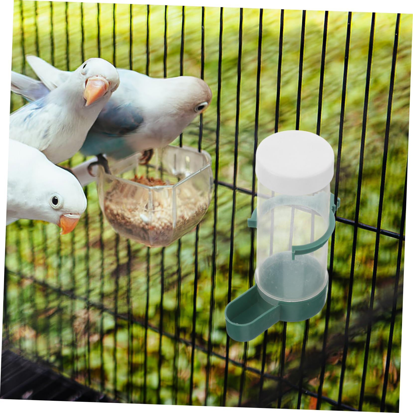 Yardwe 20 Pièces Distributeur Automatique pour Oiseaux Abreuvoir et Nourrisseur pour Perroquets Perruches et Calopsittes Alimentation Pratique pour Cages et