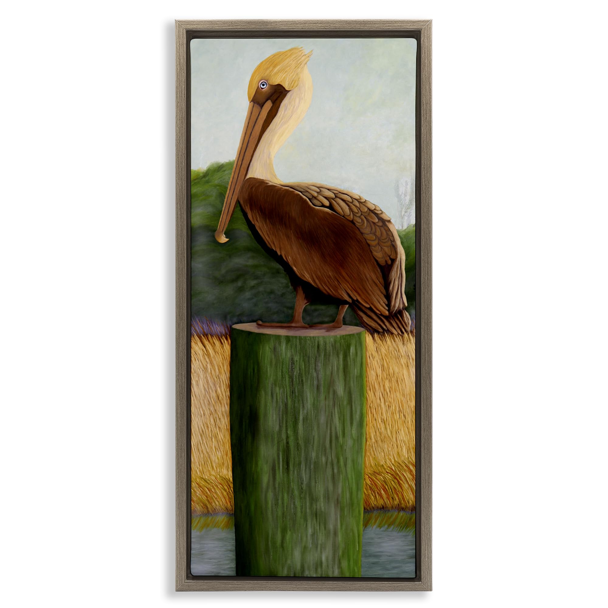 Stupell Industries 'Blue Eyed Pelican', Floating Frame Canvas Art, Brown, 11 x 25 Inches, Easy to Hang and Sturdy, Made in USA, by Barbara Fallenbaum
