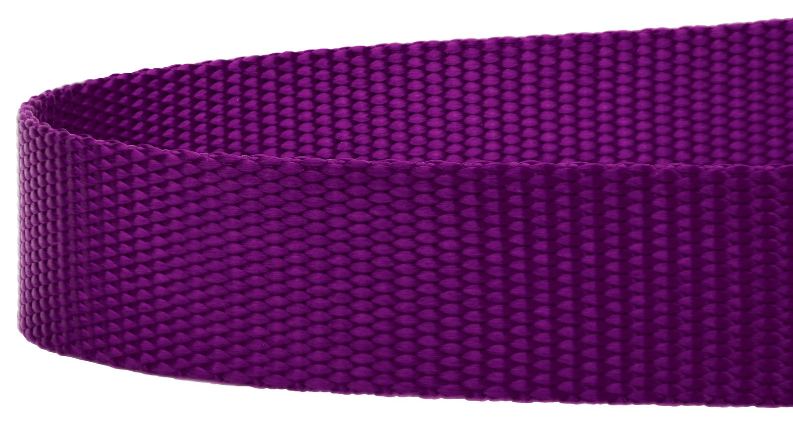 Country Brook Petz | Vibrante 21 Color Selection | Nylon guinzaglio del Cane (2,5 cm di Larghezza), 6 Foot X 1 inch Wide, Raissa metallizzate