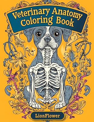 Amazon.com: Veterinary Anatomy Coloring Book For Kids, Teens, and ...
