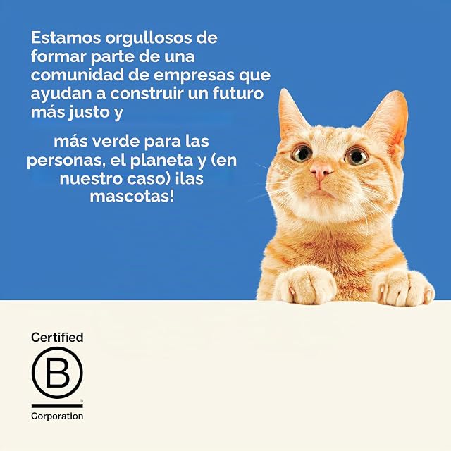 Foto 5 de 5 de Applaws Comida Húmeda para Gatos 100% Natural