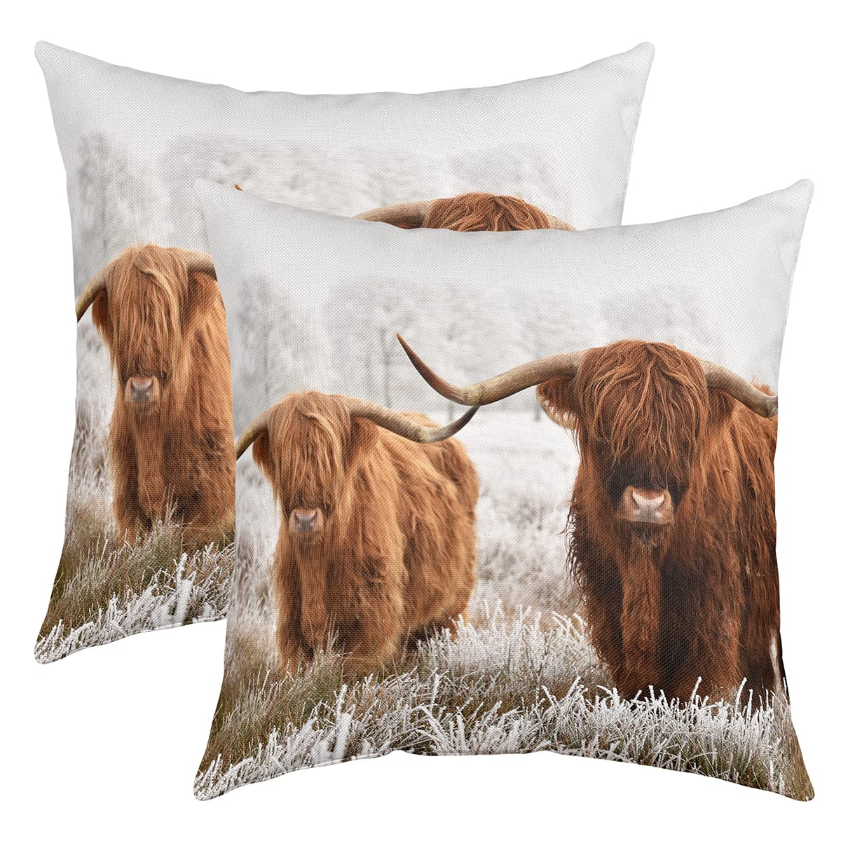 Richhome Boys Multi 1 Highland Cattle 3D Printed Pillow Cover Wildlife Safari Animals Cows Square Throw Pillow Cover For Bedroom Decor Natural Accent Decorative Cushion Cover For Kids Men Women,Pack Of 2,22"X22"