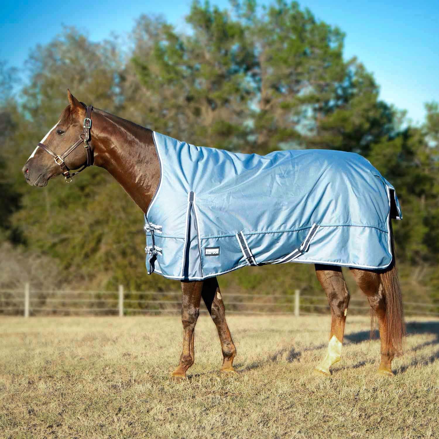 Jeffers Poplar Head Refuge 1200 Denier Turnout Blanket w/High Neck, Hamilton Blue, 69"– Waterproof & Breathable Horse Blanket, 240g Insulation, Adjustable Fit for Comfort & Safe Use, Durable Design: 66 in