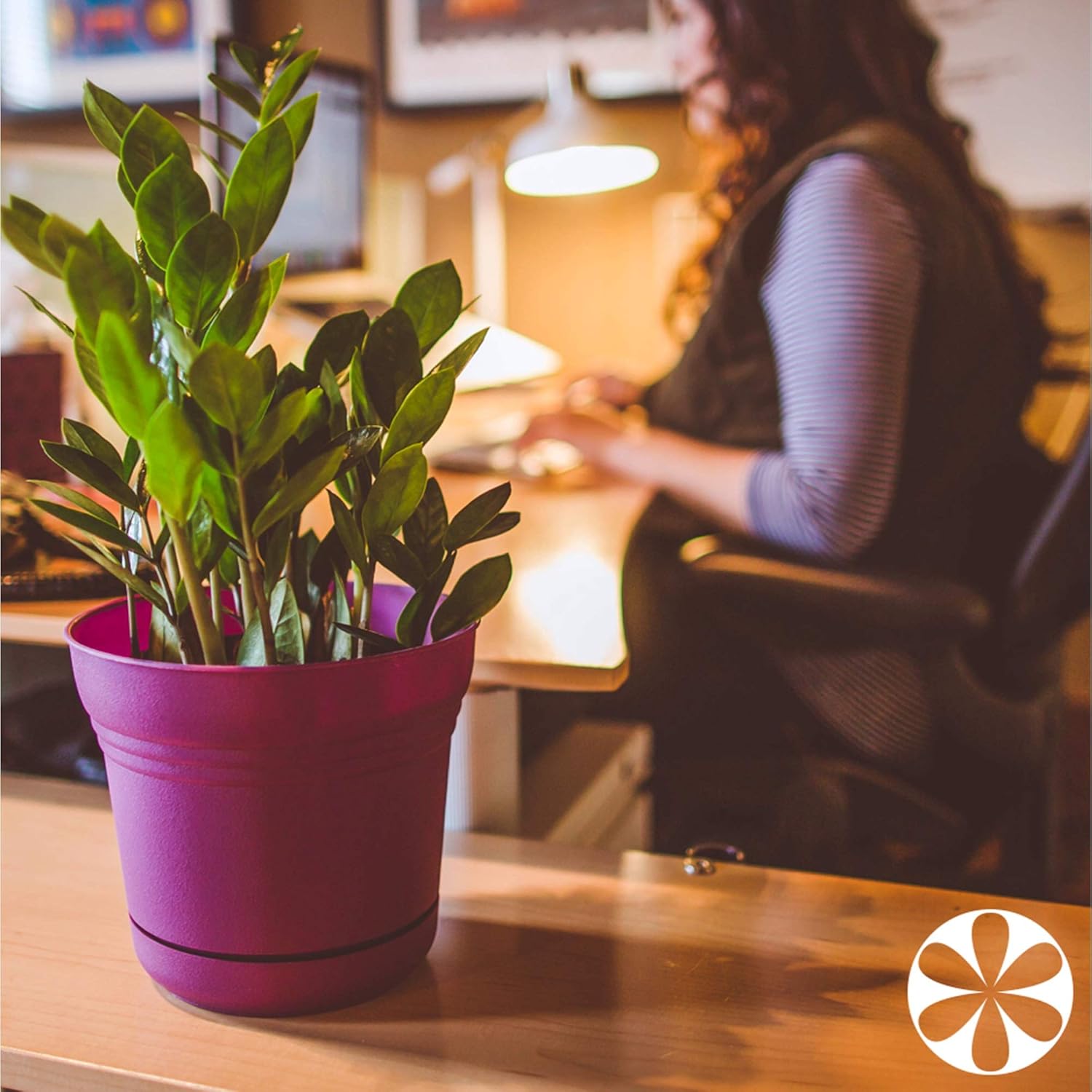 Bloem SP1260 Saturn Planter, 12-Inch, Peppercorn