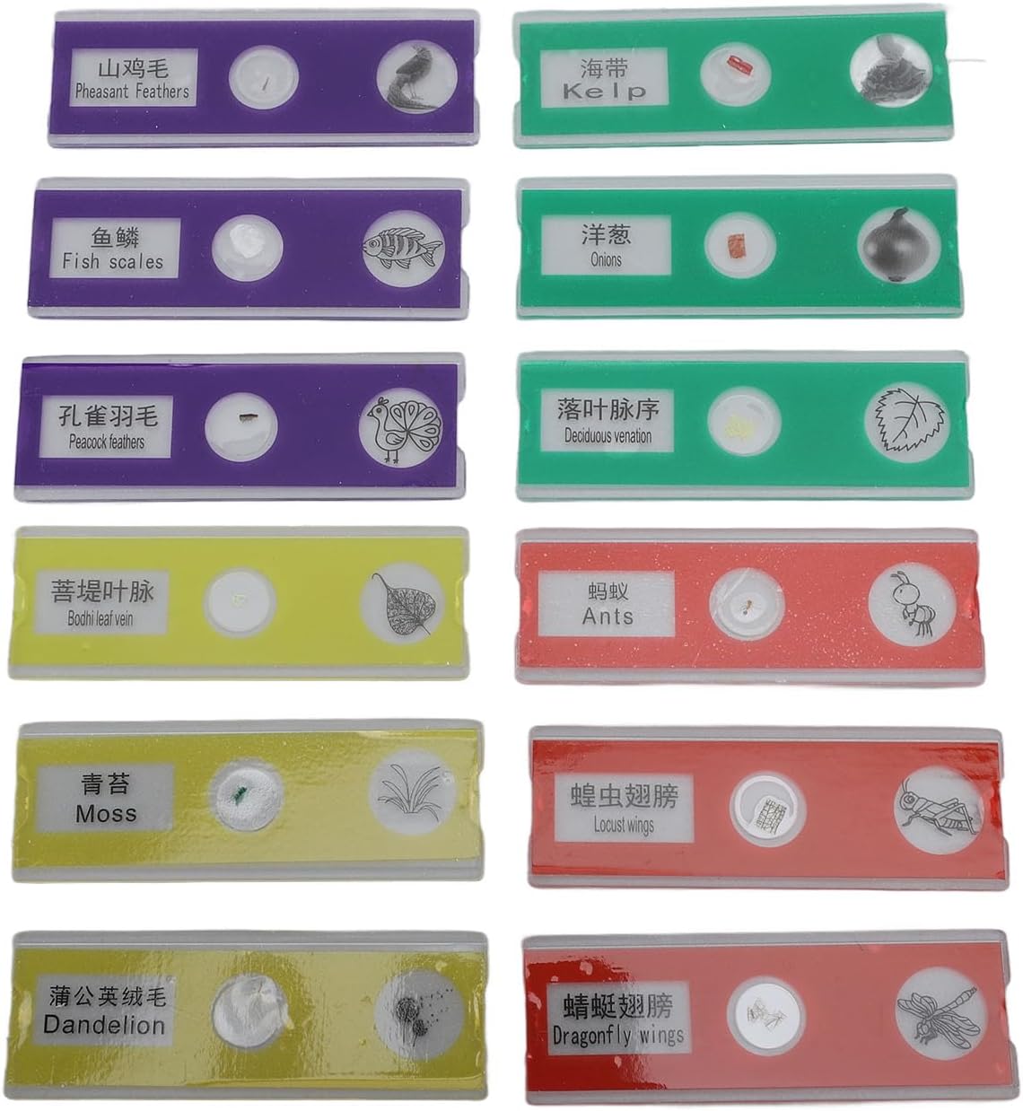 Kids Microscope, 80X-200X High Definition LED Fill Light Light Weight Small Microscope for Home ()