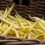 Goldrush Wax Bush Beans - 30 g Packet ~80 Seeds - Non-GMO, Heirloom - Vegetable Garden Seeds - Gold Rush