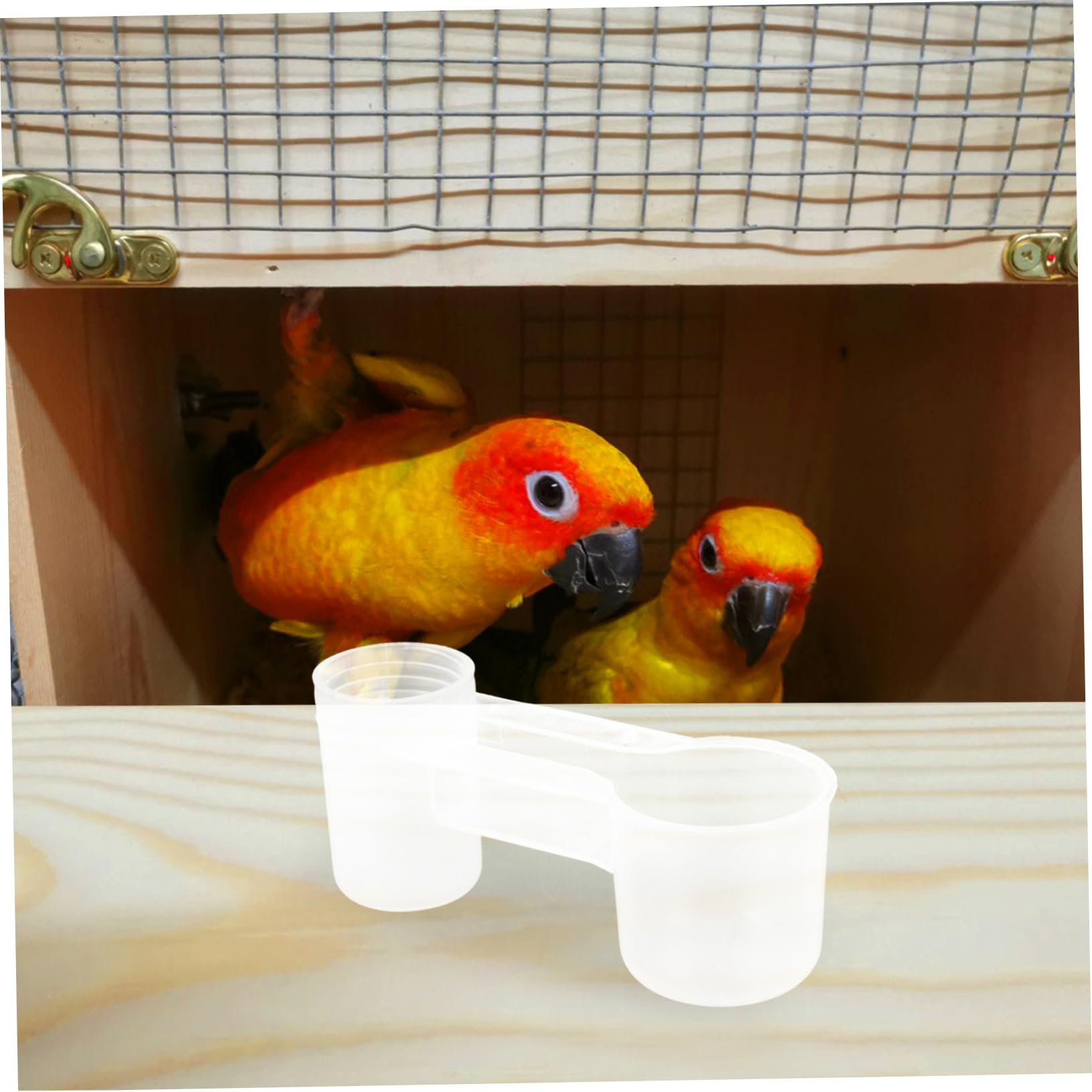 Distributore D’Acqua per Uccelli Deflettore a Doppio Ugello, Abbeveratoio per Piccioni, in Plastica, 10 Unitá, per Casa