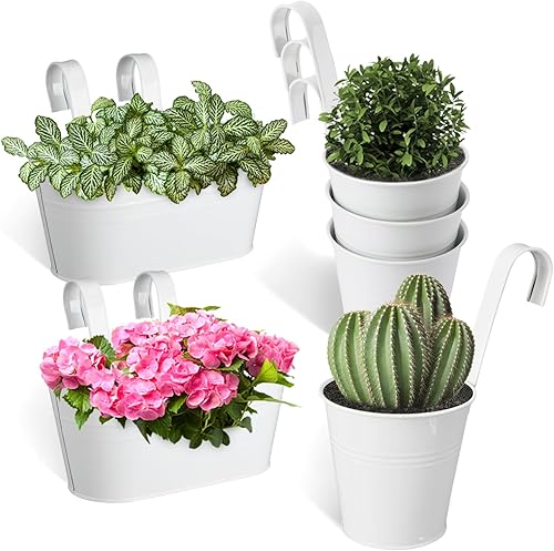 MADHOLLY Paquete de 6 macetas colgantes de metal para valla de hierro con drenaje, macetas colgantes de 10.6 pulgadas y 5.1 pulgadas para barandilla