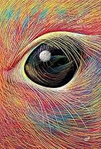 Las ideas son criaturas extrañas (Fuera de Órbita)