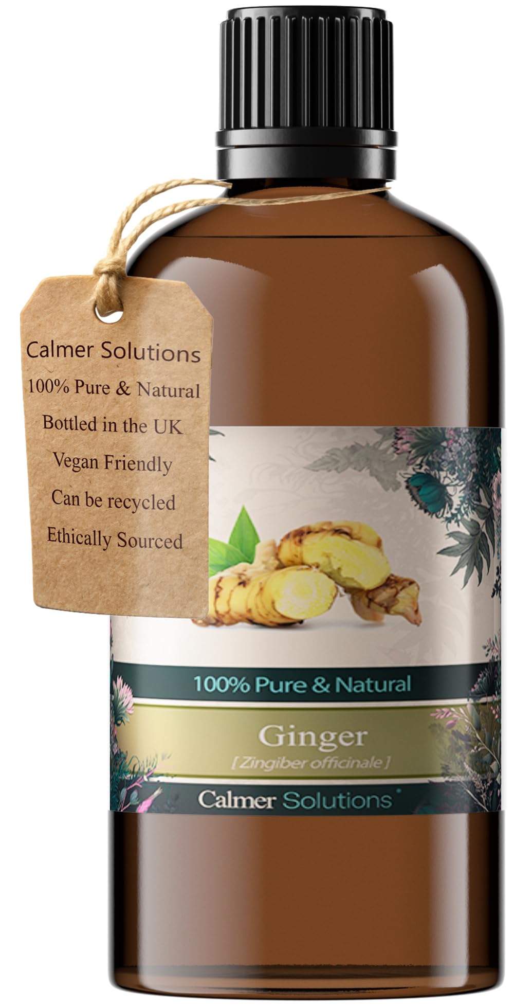 Ginger 100% Pure Essential Aromatherapy Oil 100ml