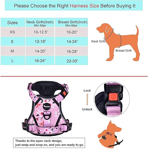 Miniatura 2 de Petmolico Juego de arnés y correa para perro sin tirones, 4 correas con asa de fácil control, chaleco reflectante acolchado suave para razas de
