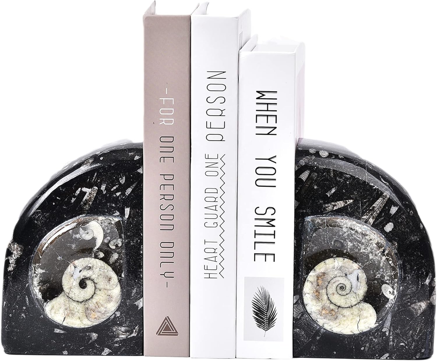 JIC Gem Unique Fossil Bookends Large Black Fossil Bookends