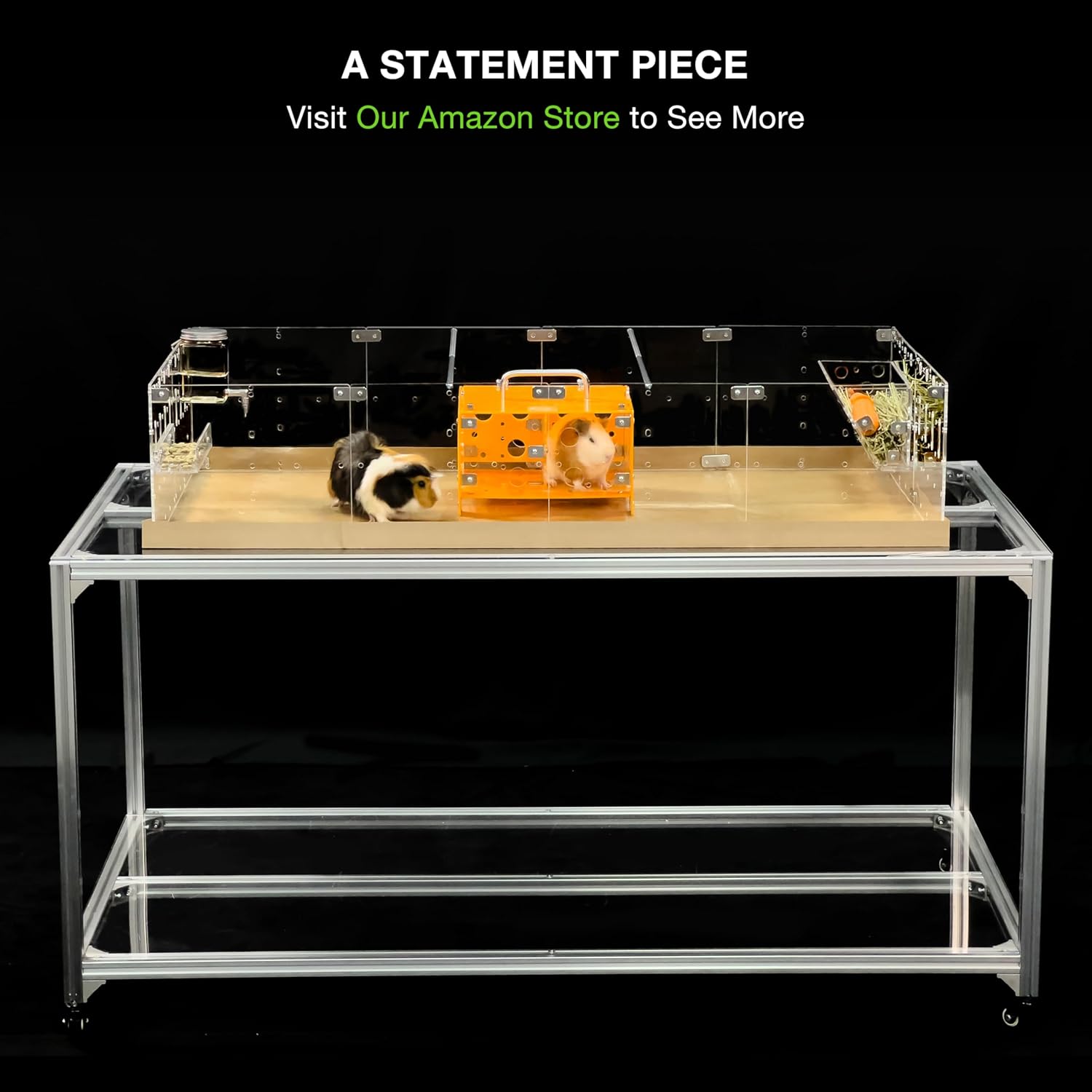 GuineaLoft™ Acrylic Cage (Model-A2) - Large 4x2ft Open Cage for Guinea Pigs, Rabbits, Button Quails, Hedgehogs, Small Animals That Need Roaming Space - Visit The GuineaLoft Store to See More