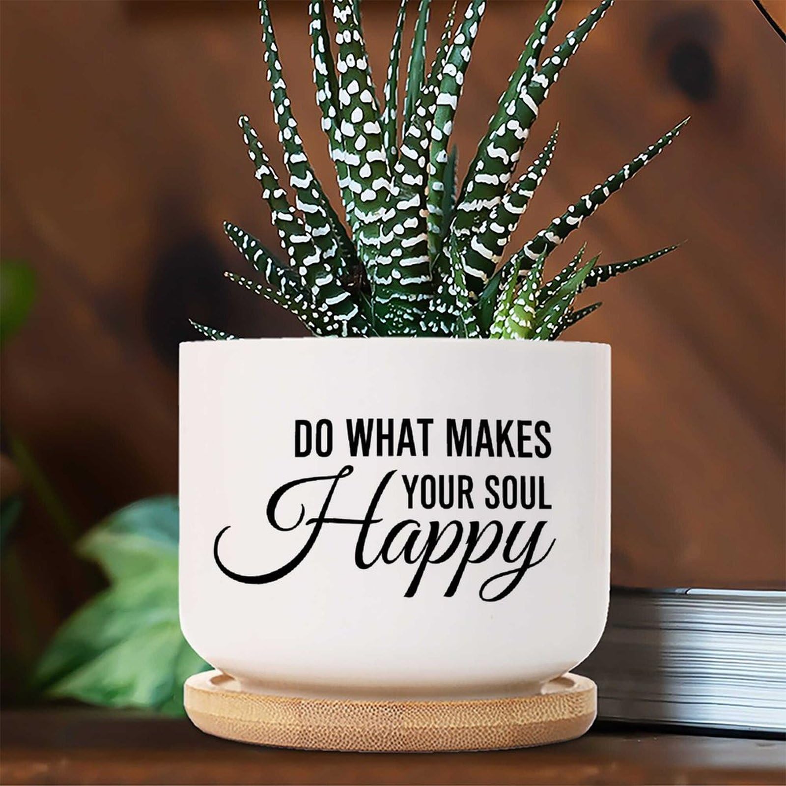 Amazon.com: DecStic Do What Makes Your Soul Happy Ceramic Planter Lettering  Saying Flower Pots for Indoor Plants with Drainage Holes and Saucers Pot  for Succulents Cactus Garden Windowsill : Patio, Lawn &