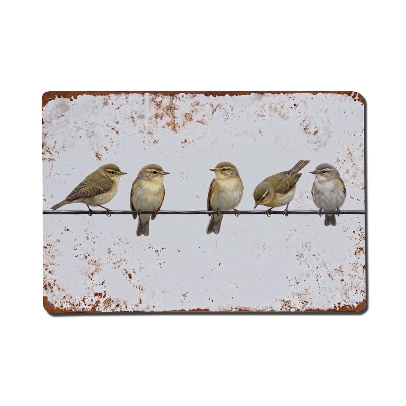 Vintage Retro Birds Chiffchaff Metal Tin Sign