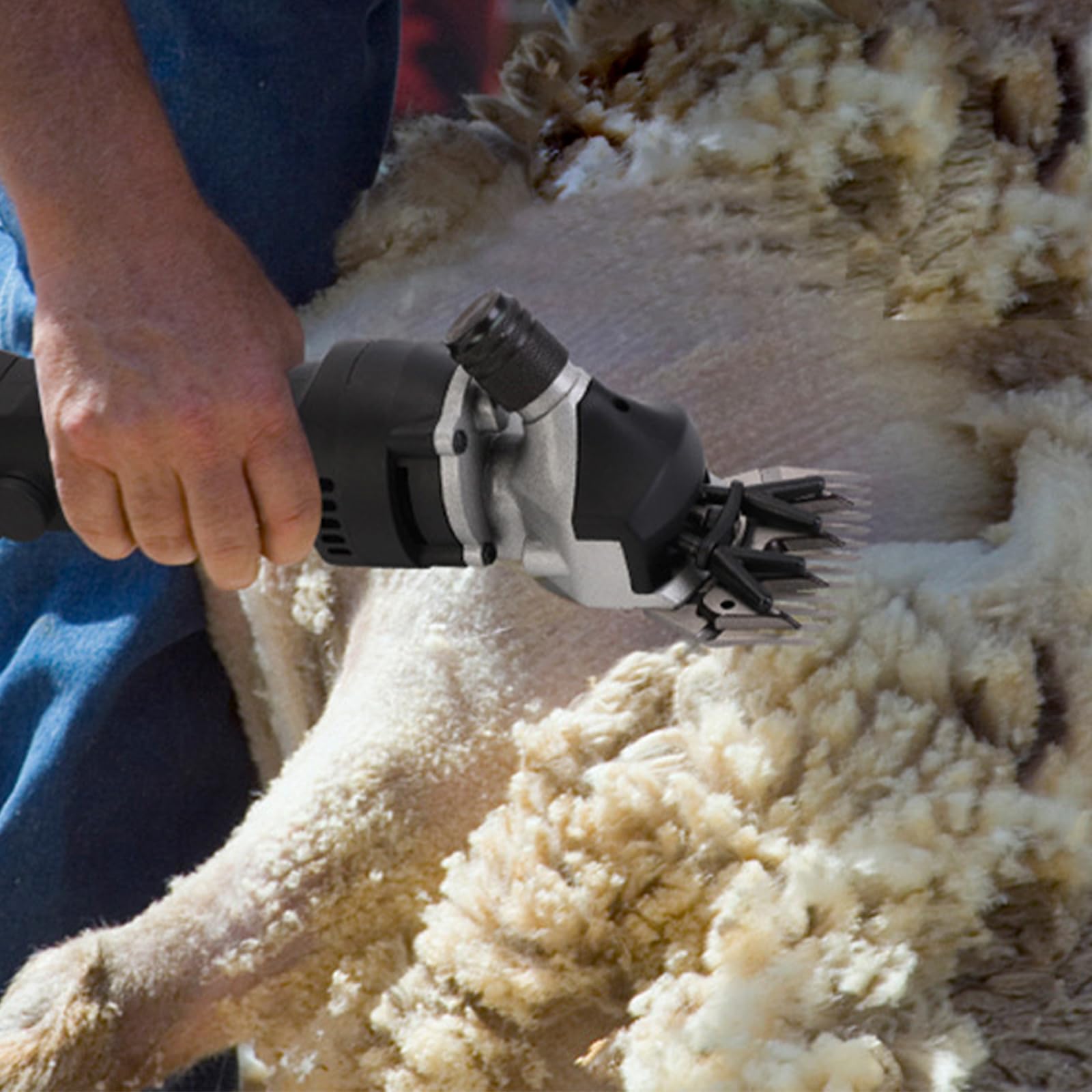 Tosatrici elettriche per Pecore 6 velocità, tosatrice Professionale da 690 W, Kit per la toelettatura del Bestiame da Fattoria per Cappotto Spesso Animale Nero