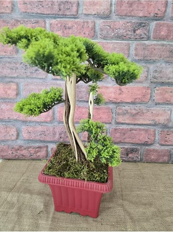 Yapay Bonsai Ağacı, 45 Cm, Gerçek Dekoratif Gövde, Kırmızı Saksıda