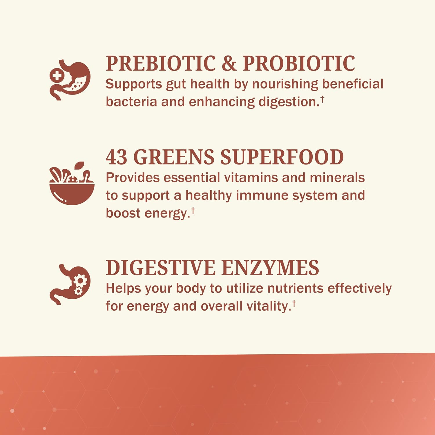 BioSchwartz Greens Powder Super Greens with Probiotics, Prebiotics, Digestive Enzymes & 43 Green Superfoods - Chlorophyll, Bilberry, Chlorella, Spirulina - Tastes Amazing - 30 Servings