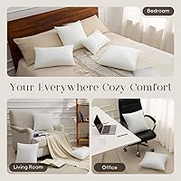 Vista 5 de Phantoscope - Insertos de almohada, 100% poliéster hipoalergénico de fibra virgen, almohadas cuadradas para sofá, sillón, cama, 12x20 pulgadas