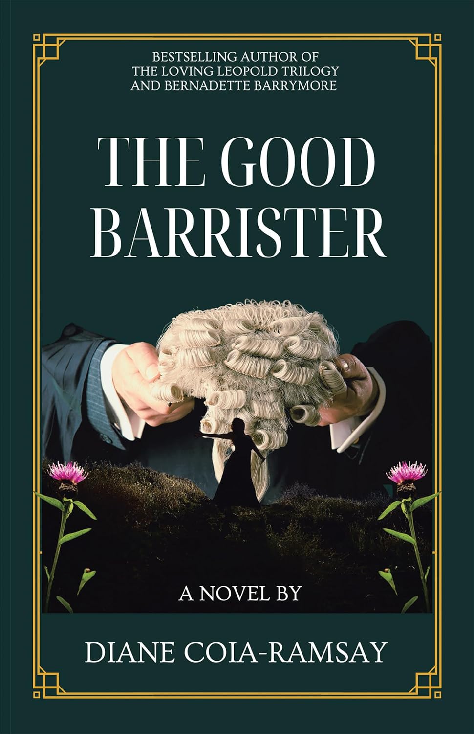 Amazon.com: The Good Barrister: 9781665748384: Coia-Ramsay, Diane: Books