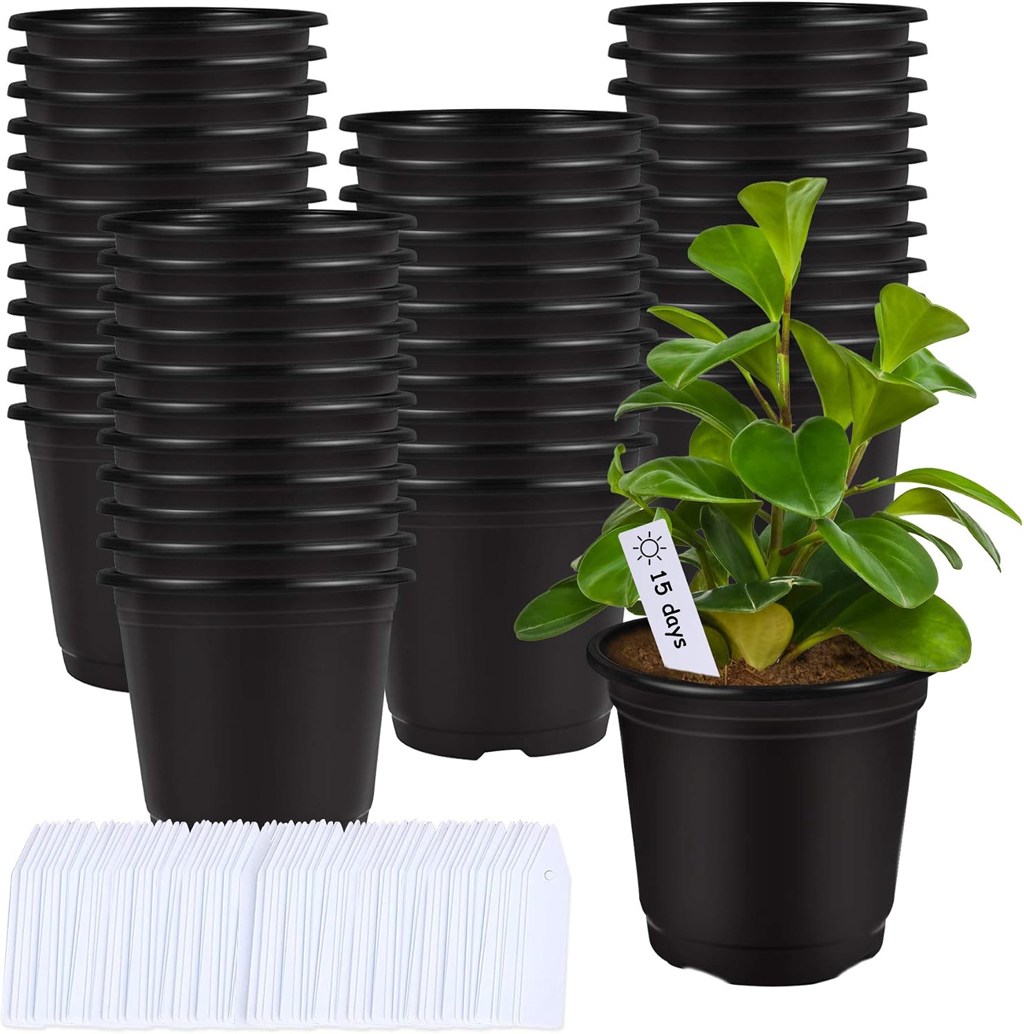 75 Pcs 0.5 Gallon Black Plastic Plant Nursery Garden Pots 6 Inches Seed Starting Pots Containers with 100 Labels