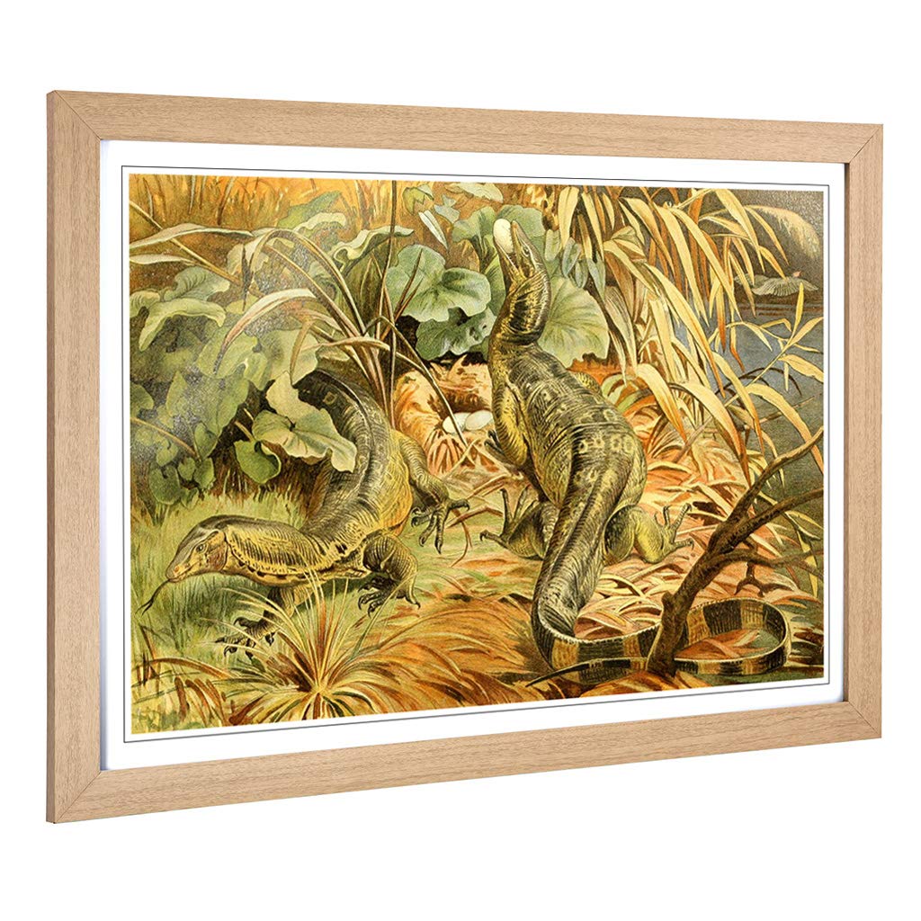 Big Box Art Framed Print of Vintage Brehms Tierleben 1913 Water Monitor Design | Wall Art Picture | Home Decor for Kitchen, Living Room, Bedroom, Hallway, Oak, A2 / 24.5x18 Inch / 62x45cm