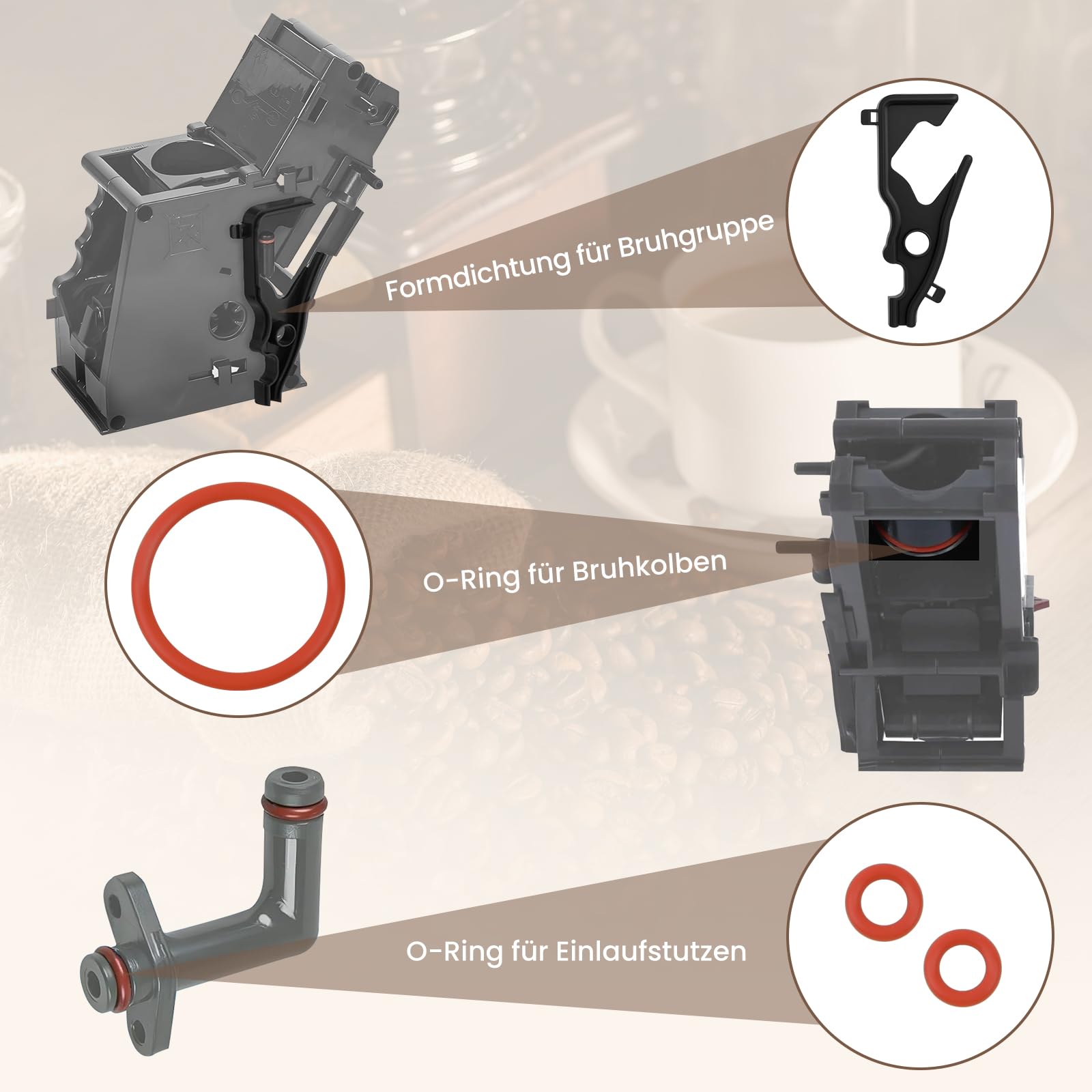 1Set Dchtungen Brühenhet Brühgruppe Semens EQ 5, 6, 7, 8 mt Lppendchtung