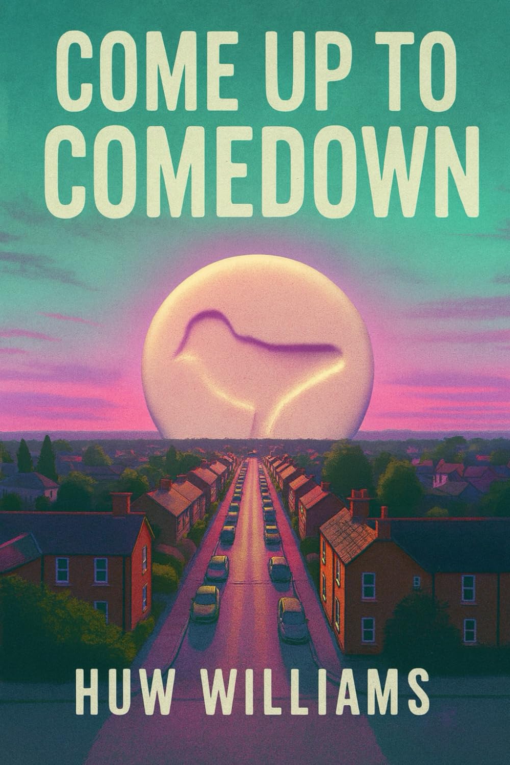 Come Up to Comedown