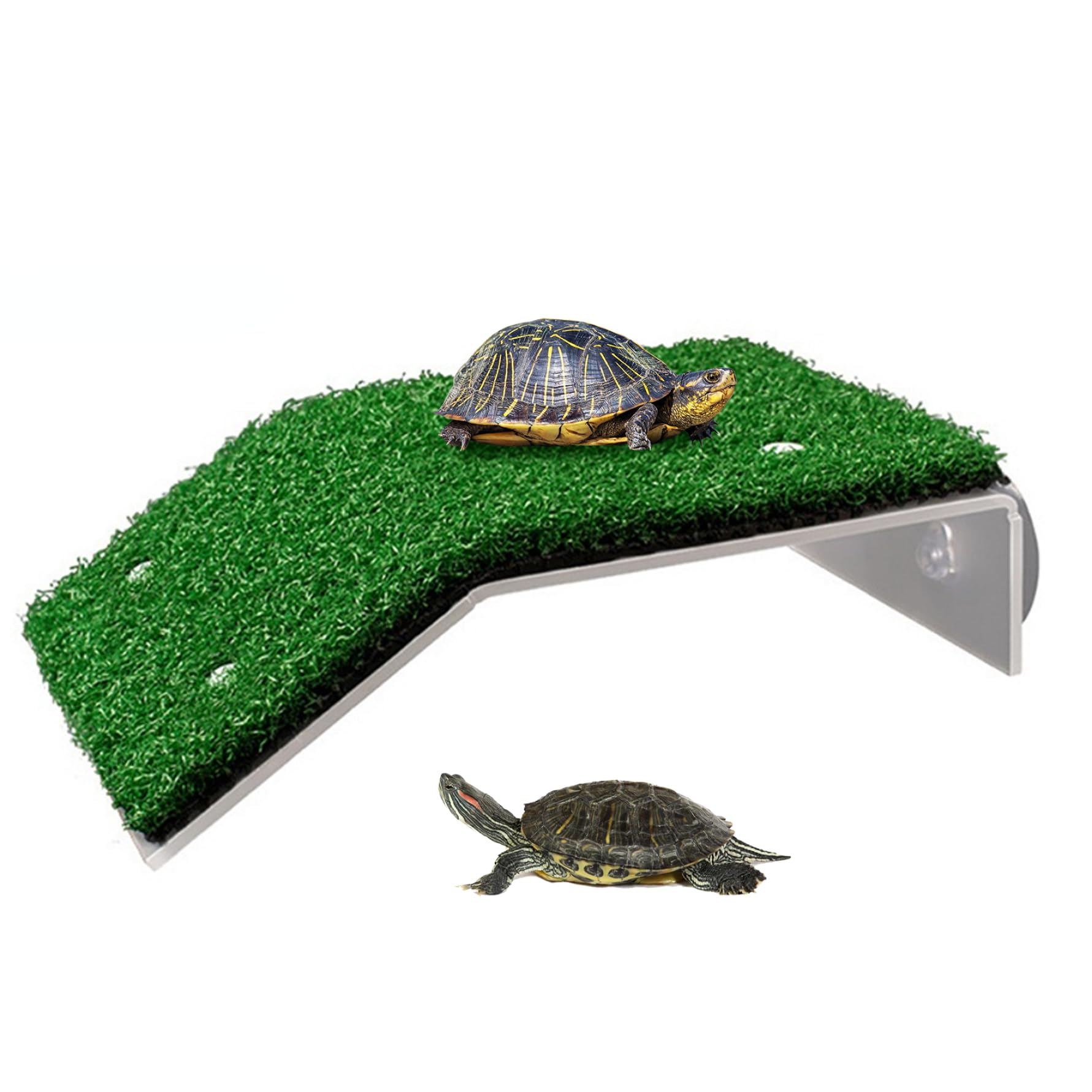 Turtle Habitat Plataforma Para Tomar El Sol Para Tortugas Con Ventosa Oso De Hasta 2 Kg Escalera Para Subir Tortugas De Resina Terraza De Descanso Accesorios Para Tanque De Tortugas Para Rana Reptil