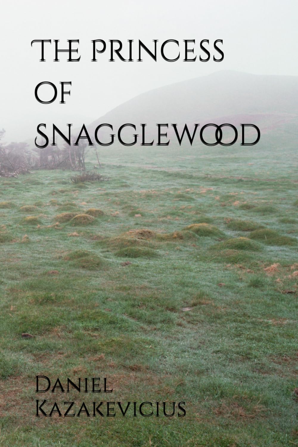 The Princess of Snagglewood: 1 (The Gear Chronicles)