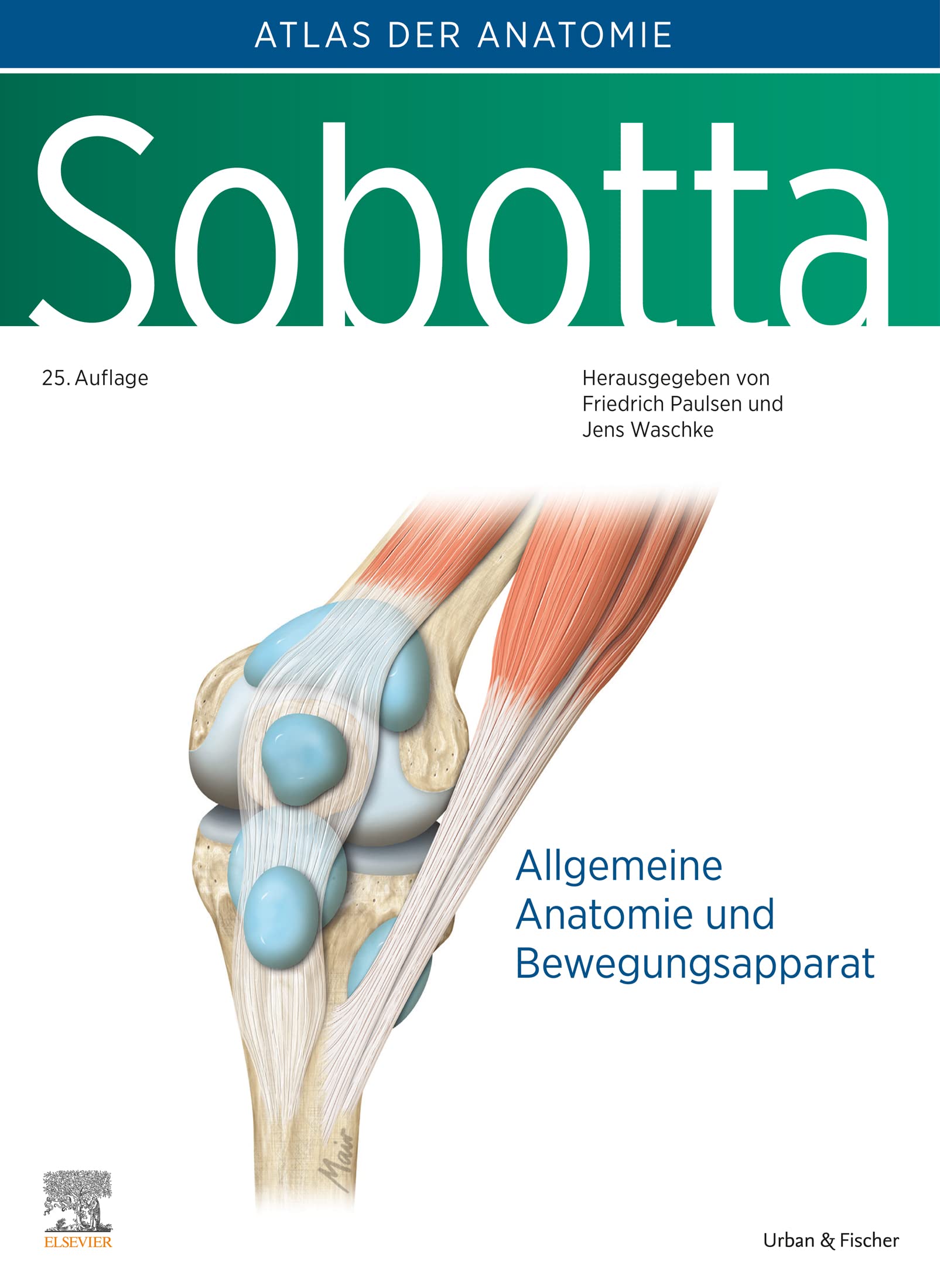 Sobotta, Atlas der Anatomie des Menschen Band 1: Allgemeine Anatomie und Bewegungsapparat (VORKLINIK - Lehrbuch - Urban & Fischer-Verlag)