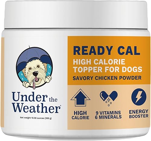 Ready Cal Powder para perros  Alto en calorías aumento de peso estimulante del apetito y suplemento para mascotas  30 cucharadas cuchara incluida