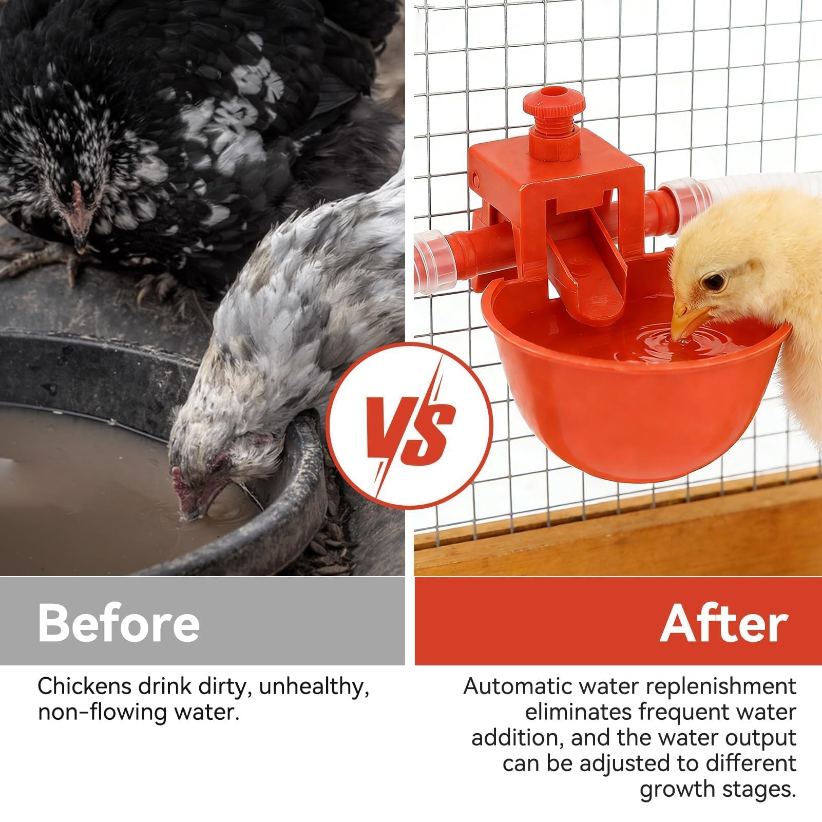 10 Tazze per Abbeveratoio Pollo, Bevitori Automatici in Plastica Mangiatoie Utensili Acqua Potabile, Macchina Bere Pollame Gabbie Abbeveratoio Da 3,5 Pollici Tazza per Uccello Quaglia Piccione Pollo