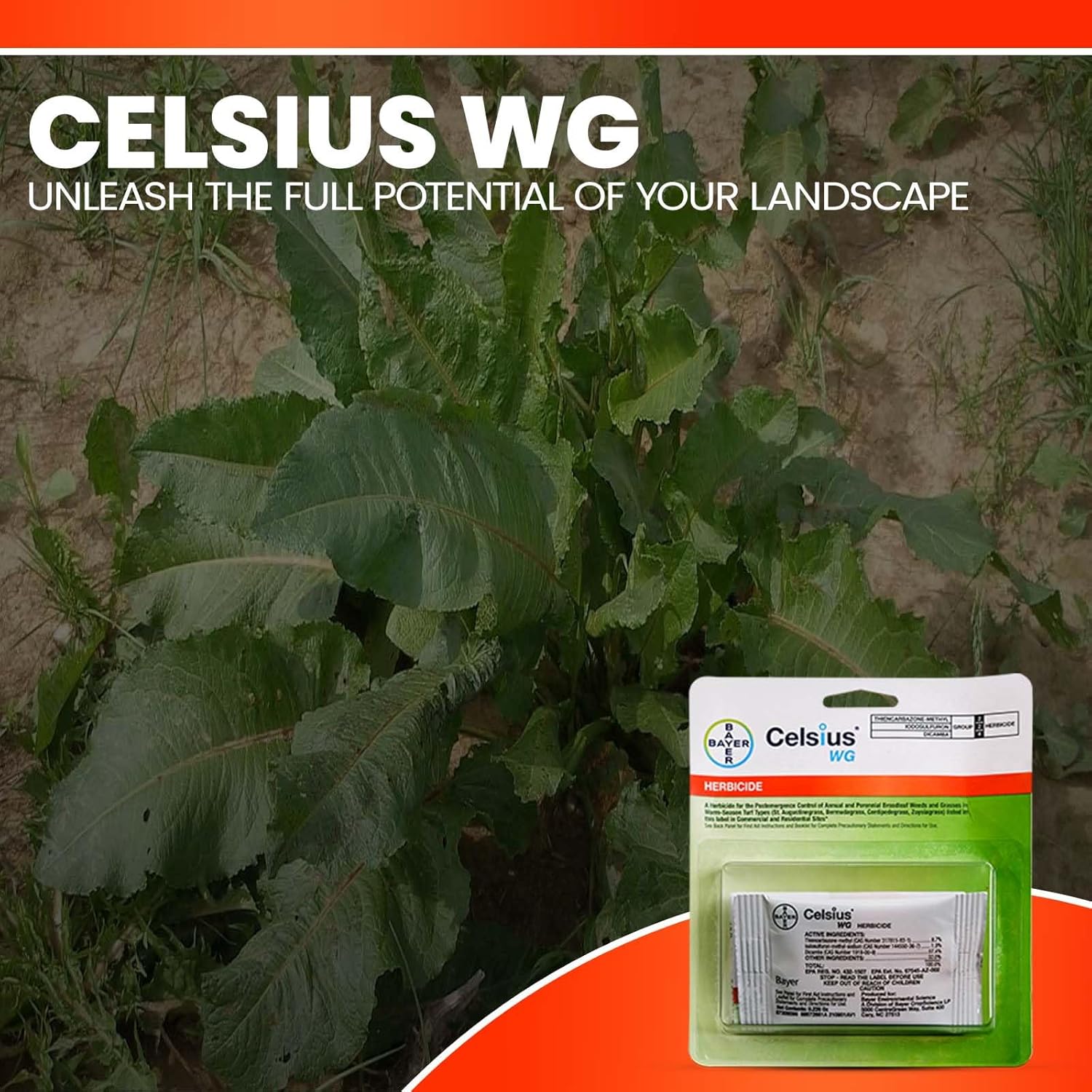 Pre and Post Weed Killer for Lawns - Celsius - WG - 0.226 OZ - Broadleaf Weed Control - Lawn Treatment - Grass Killer - Safe for Warm- Season Grass - Available with Omni Depot Gloves