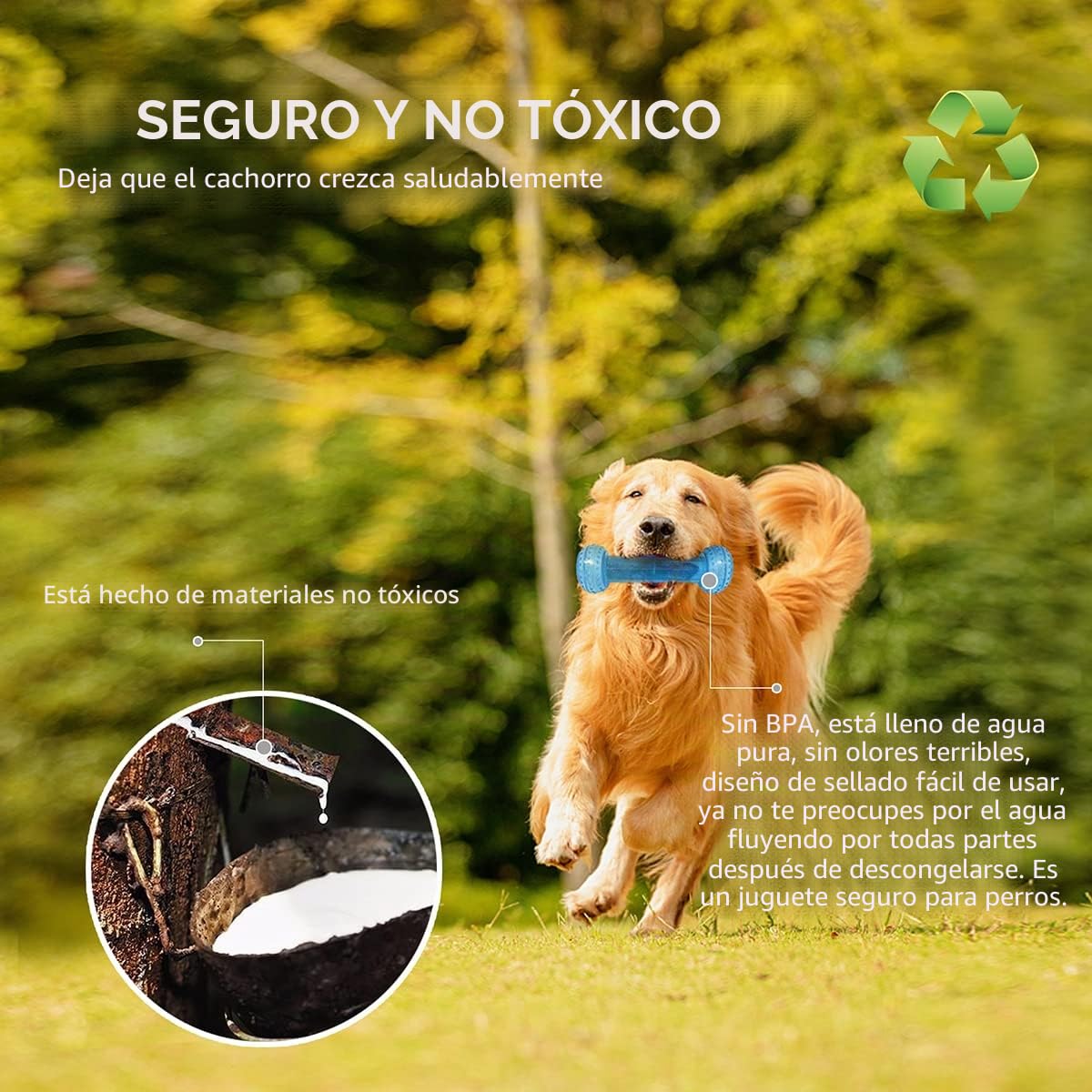 Juguete Mordedor para Cachorros, 1 Anillo de dentición y 1 Hueso de dentición congelable Perro masticable Juguetes