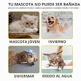 Ver la foto 3