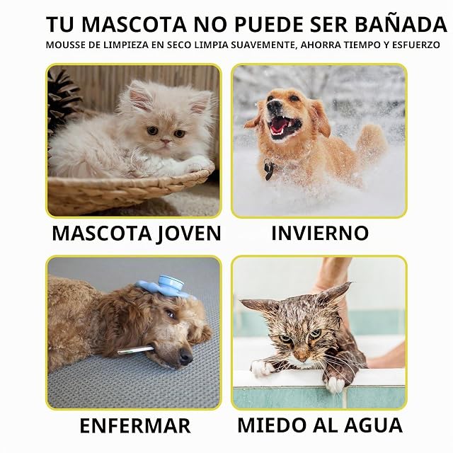 Foto 3 de 8 de spuma de Champú Seco GJYC PET Límpiate Las Dudas, frescura Garantizada Control de la caída del Pelo