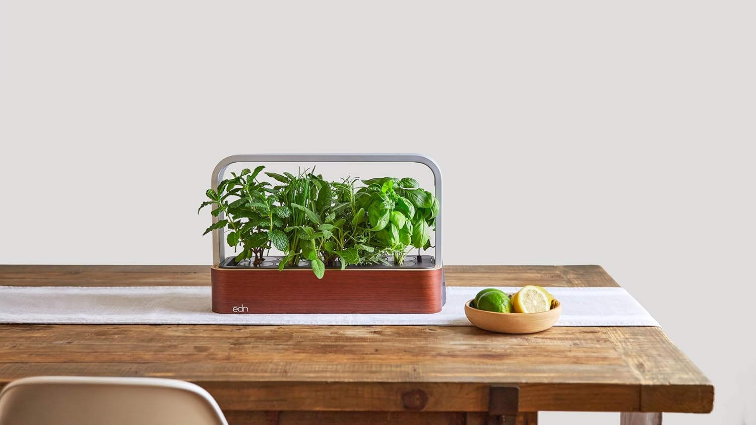 edn Tea Mix SeedPods Value Bundle - Includes 10 Mint and 10 Sage SeedPods