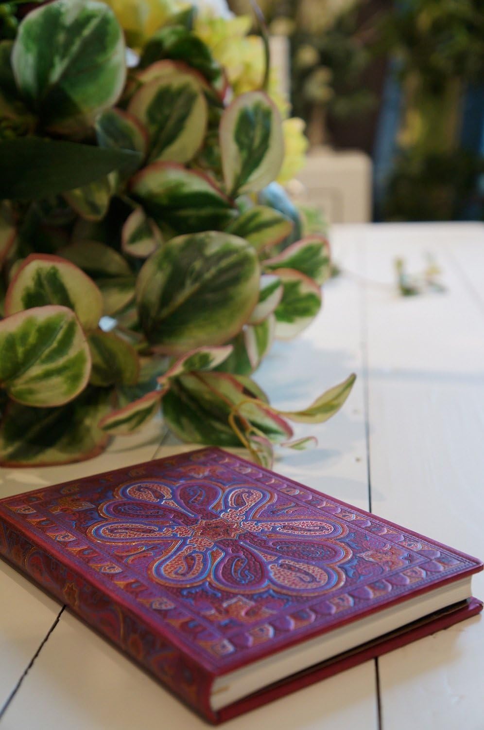 Adena Paper Blank Notebook, B6, Ruled PB3141-3