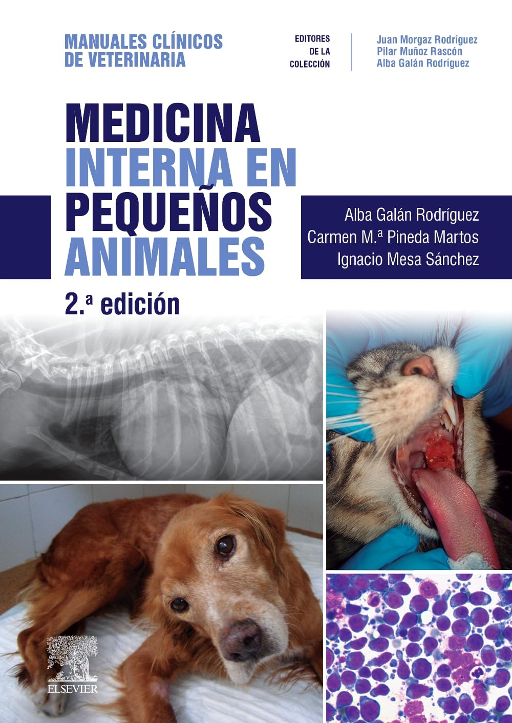 Medicina interna en pequeños animales: Manuales clínicos de Veterinaria