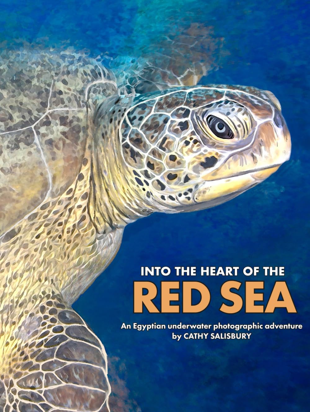 Into the Heart of The Red Sea: An underwater photographic journey