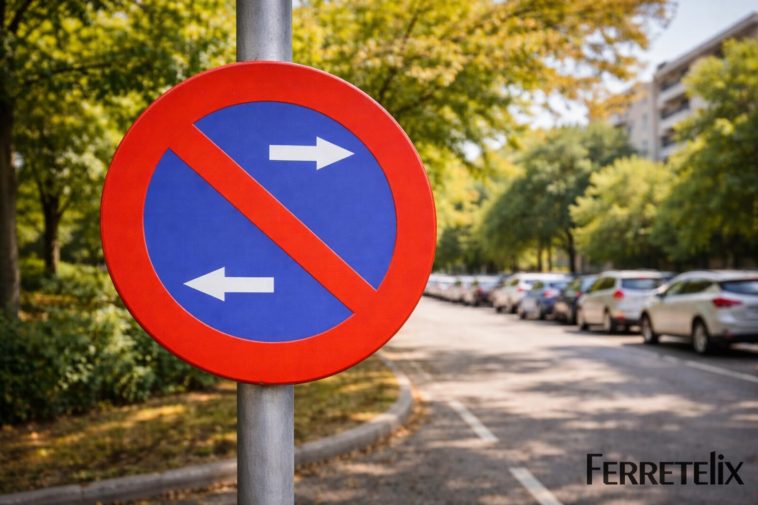 FERRETELIX® Señal Metálica Homologada MOPU 60 cm – R-308h Prohibido Aparcar Ambos Lados – Reflectante N1