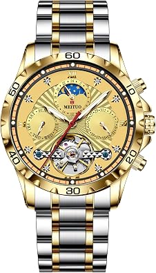 Mens Skeleton Mechanical Watches for Men, Luxury Mens Automatic Watches Blue Dial Luminous Waterproof Stainless Steel Wrist Watch for Men