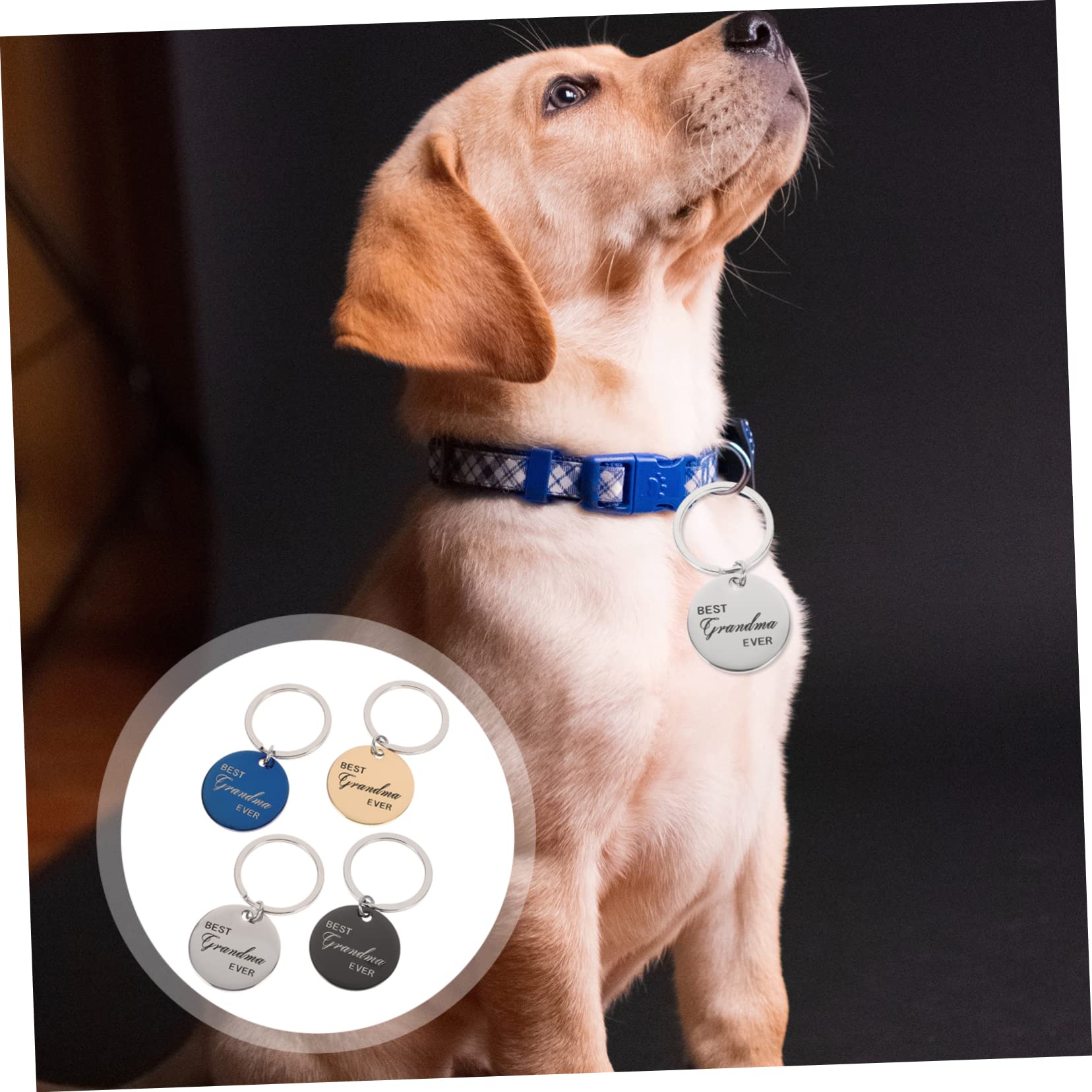 Supvox 20stücke Id-tags Runde Gravierte Für Hunde Und Katzen Leicht Und Langlebig Personalisierbar